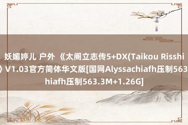 妖媚婷儿 户外 《太阁立志传5+DX(Taikou Riss