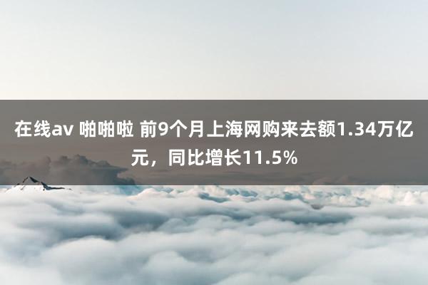 在线av 啪啪啦 前9个月上海网购来去额1.34万亿元，同比